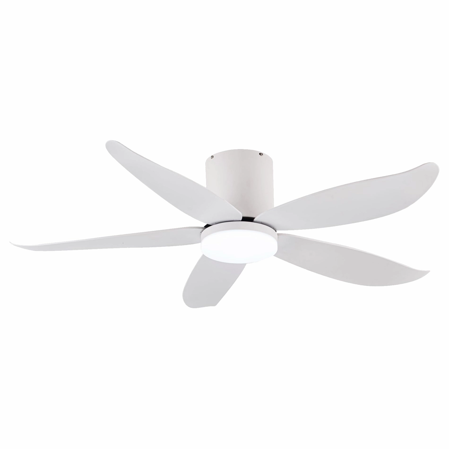 CO-FAN RITO-5 48"/54" DC CEILING FAN   OPTIONAL LIGHT & WI-FI