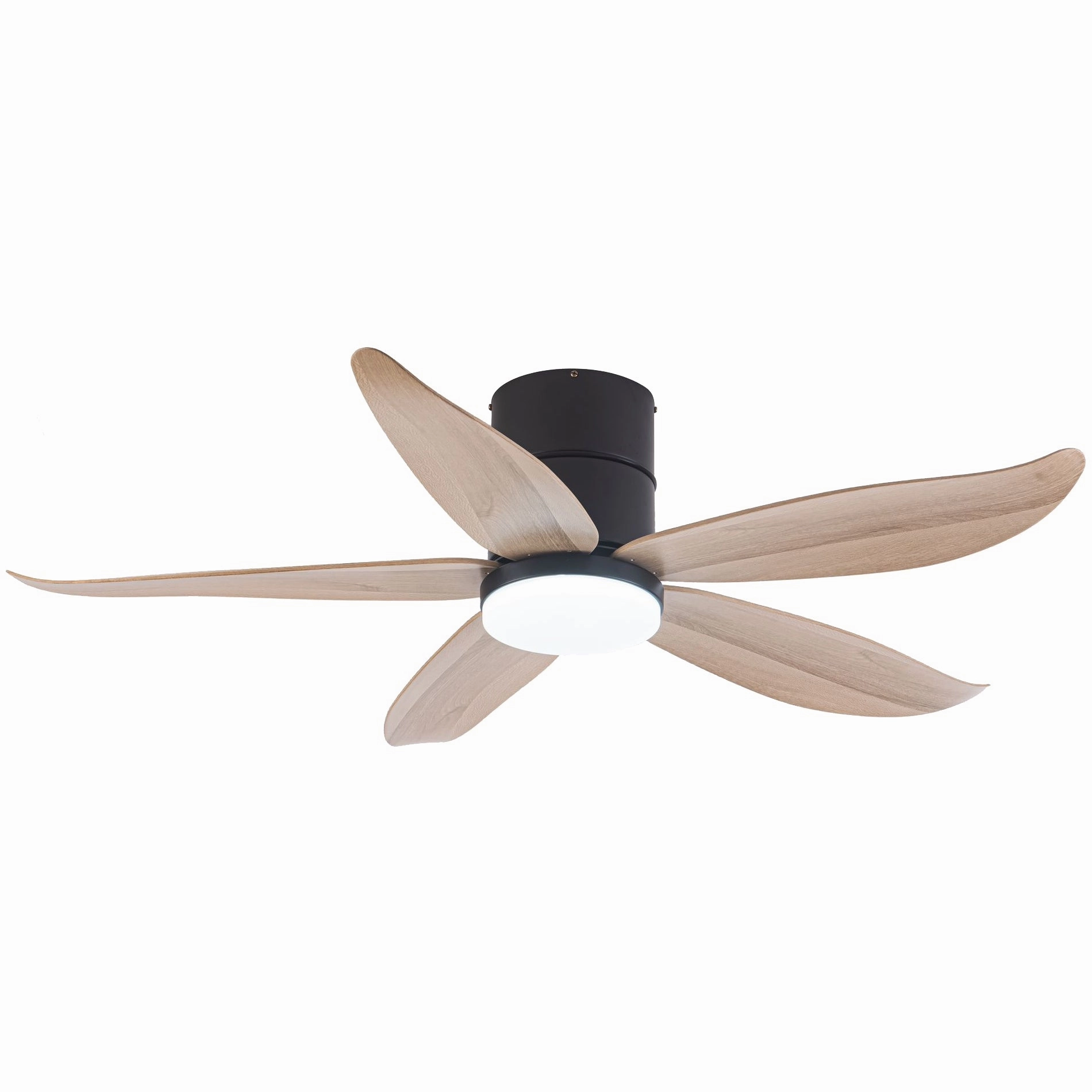 CO-FAN RITO-5 48"/54" DC CEILING FAN   OPTIONAL LIGHT & WI-FI