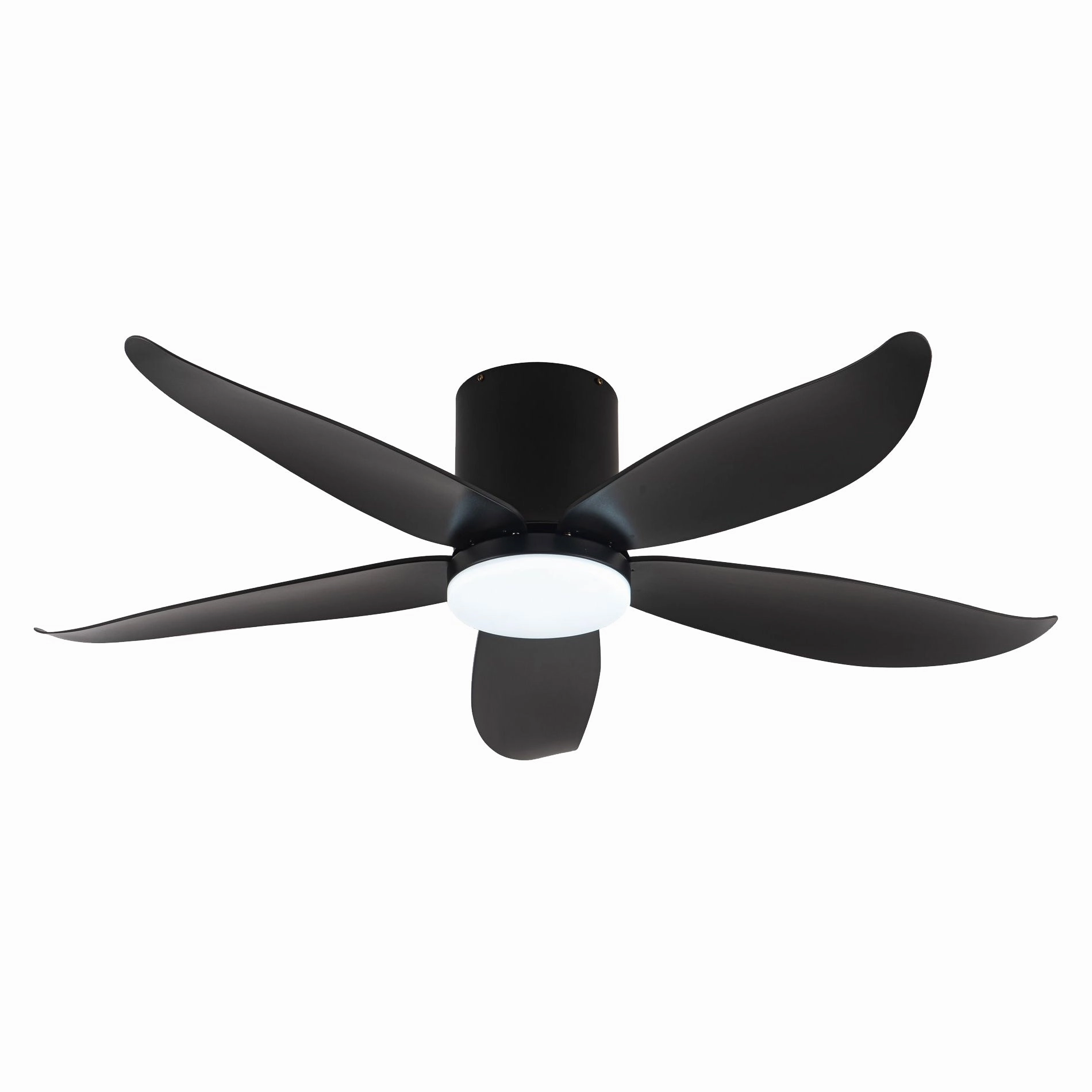 CO-FAN RITO-5 48"/54" DC CEILING FAN   OPTIONAL LIGHT & WI-FI