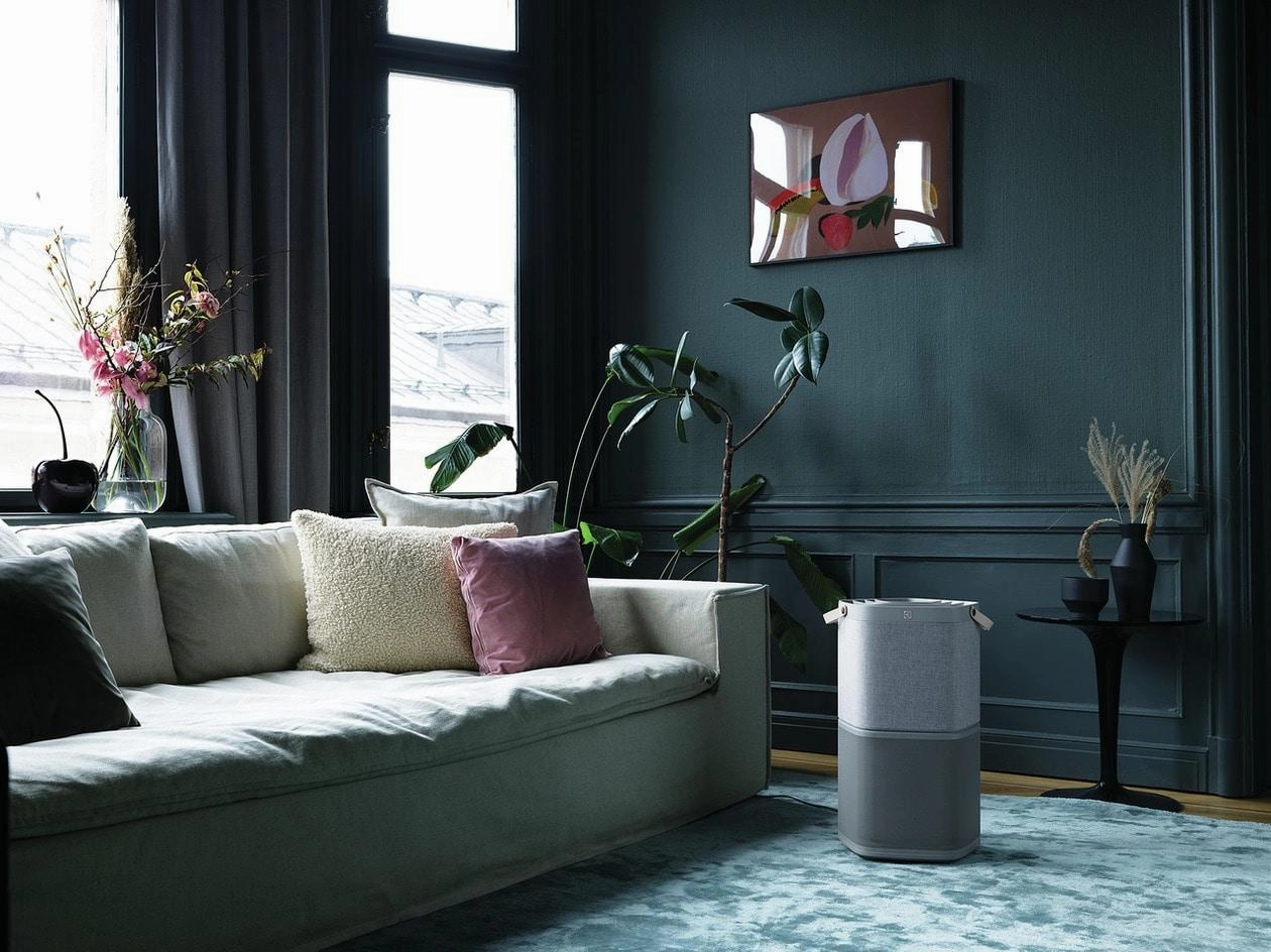 Electrolux EHAW4010AG Electrolux 267 Sq. Ft. Air Purifier