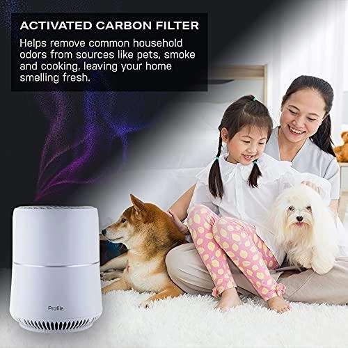 Ge Appliances PFTS06AA Profile Air Purifier For Small Rooms, White
