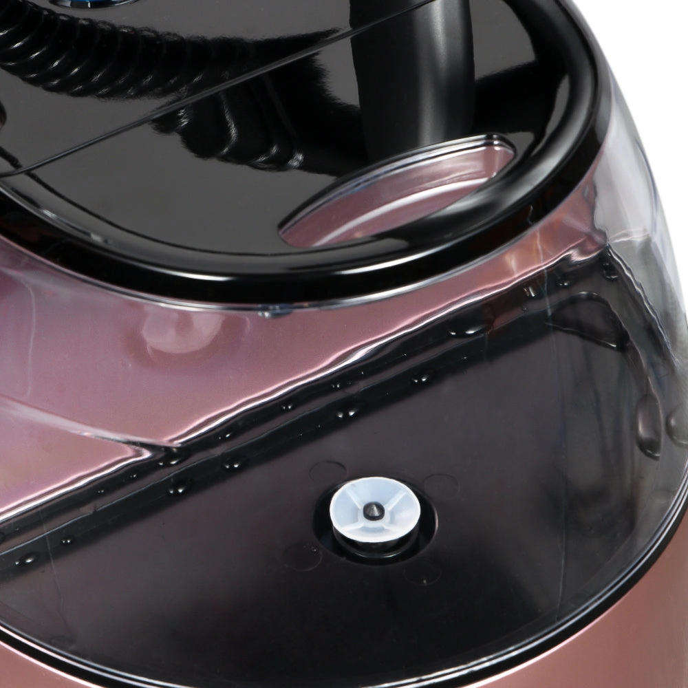 RAF Garment Steamer | 2000W | 2.2L Water Tank Capacity | Strong Steam |
