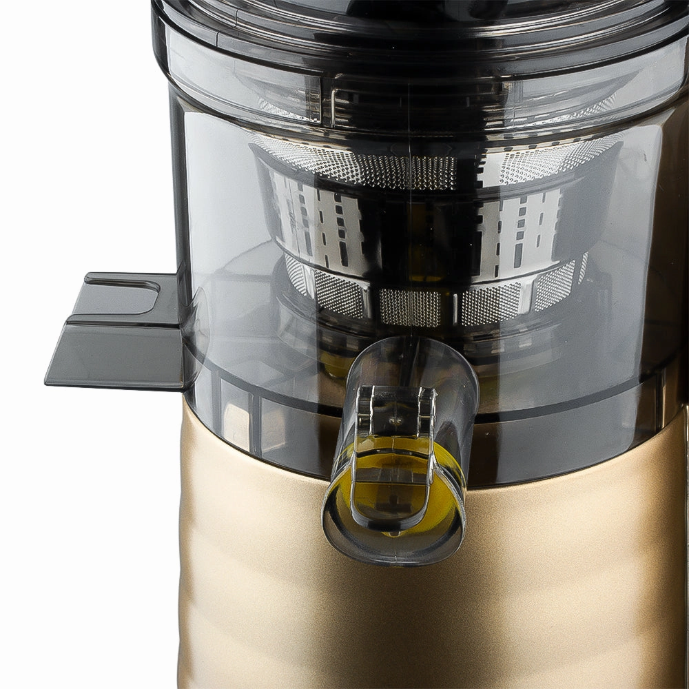 RAF Slow Juicer | Large Caliber |Food Grade Material |Stanliss Steel Filter | Low Noise. 150W