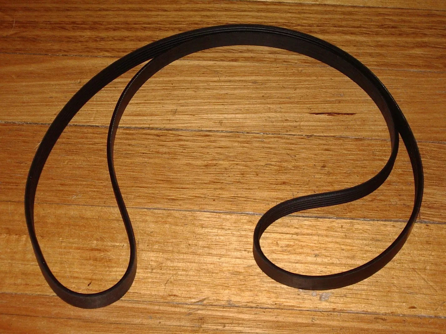 Servis, Indesit Front Load Washer Drum Belt - Part # POL75, 1220J5EL